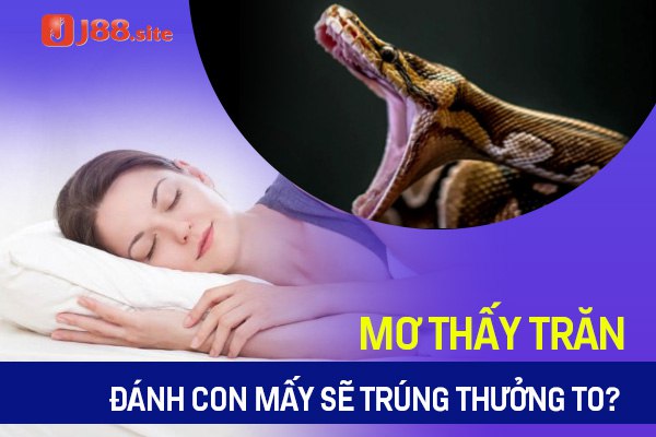 Mơ thấy trăn đánh con mấy sẽ trúng thưởng to? 1 mo thay tran